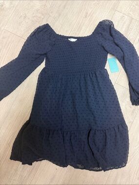 Market & Spruce Navy Smocked Swiss Dot Ruffle Dress